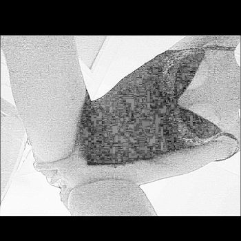 Aprile - Pfyn - Thurgovie | Club Echangiste