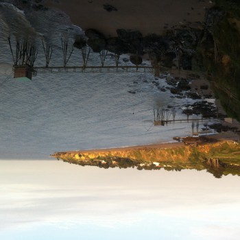 Nene - Vullierens - Vaud | Club Echangiste