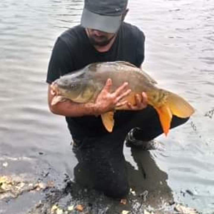 Dennis - Anwil - Bâle-Campagne | Club Echangiste