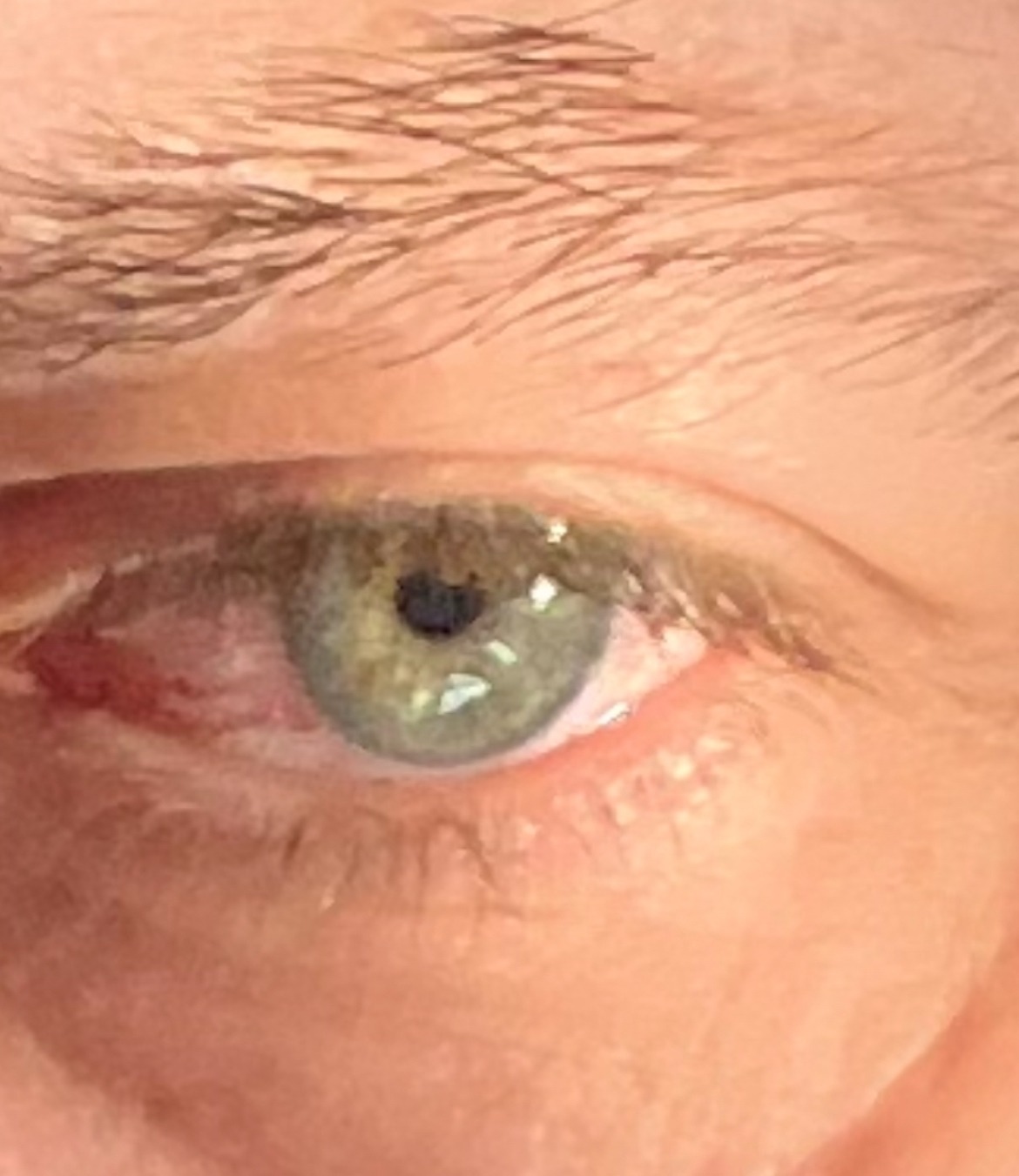 Leith - Pianezzo - Tessin | Club Echangiste