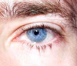 Aiman - Praden - Grisons | Club Echangiste